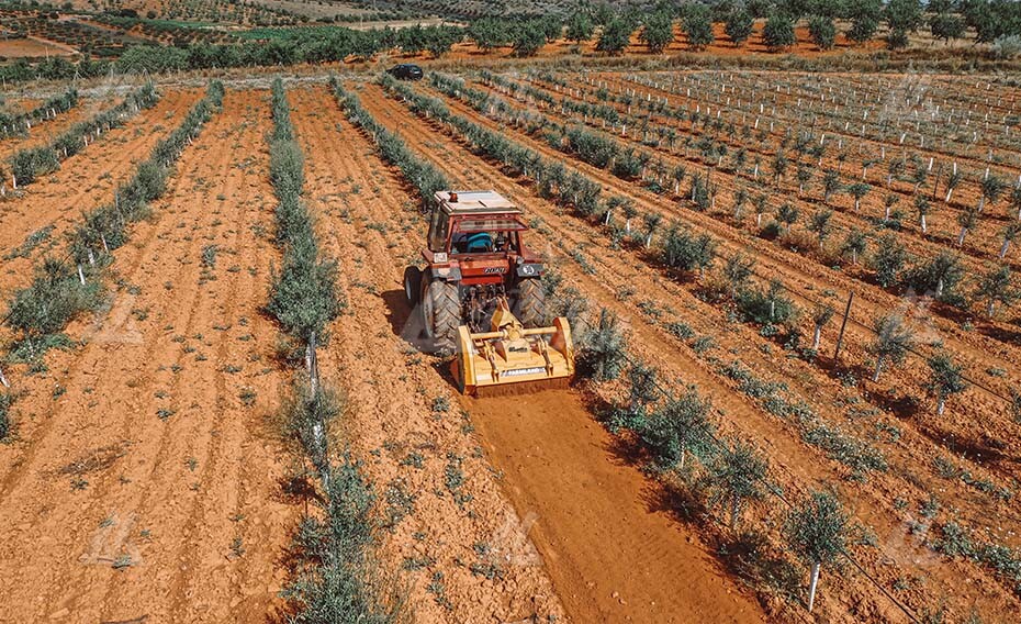 Ротоватор Delta farmland-3 -1800 мульчер для расчистки картинка 646559